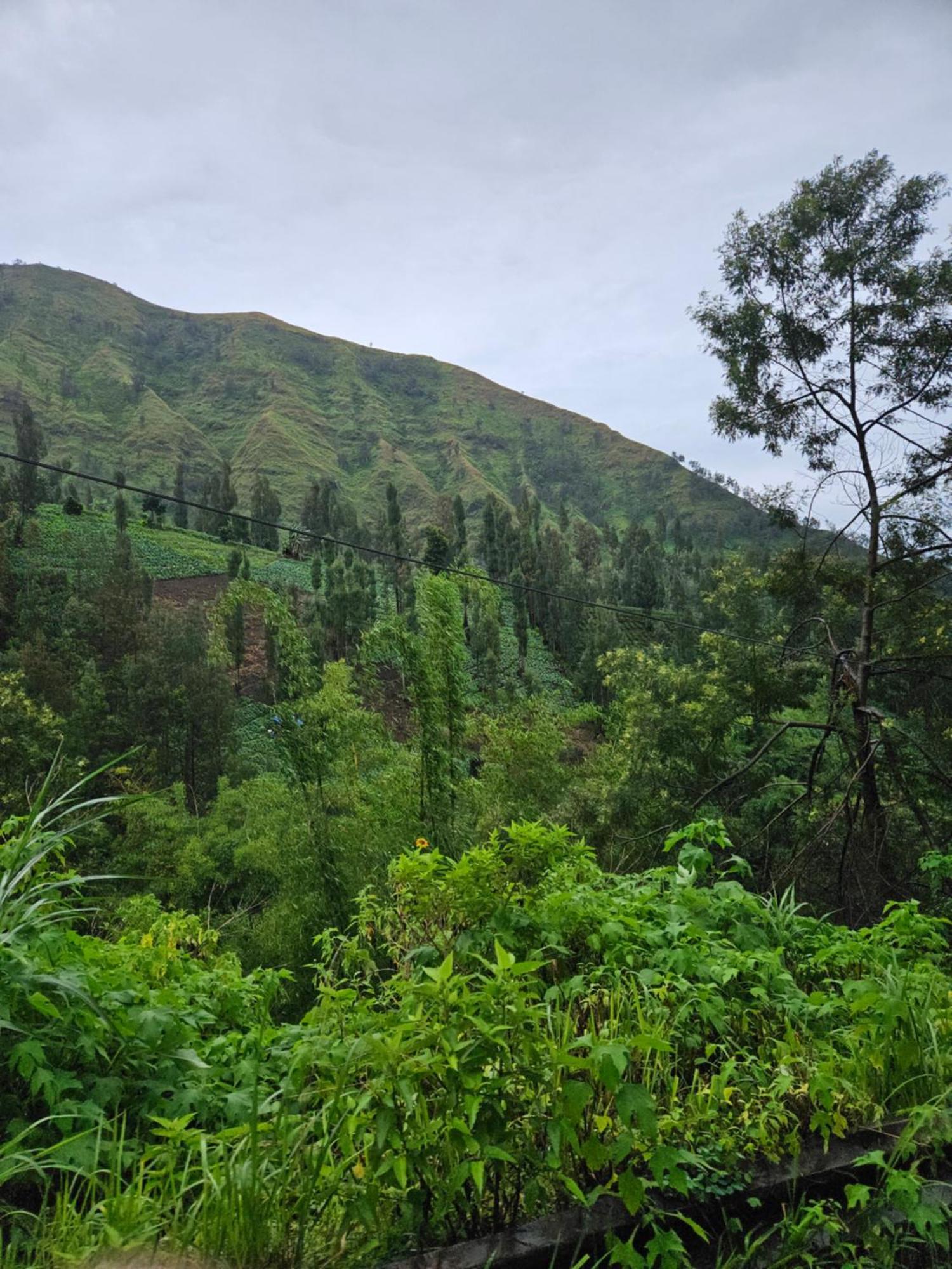 Arum Bromo Villas Ngadisari Esterno foto
