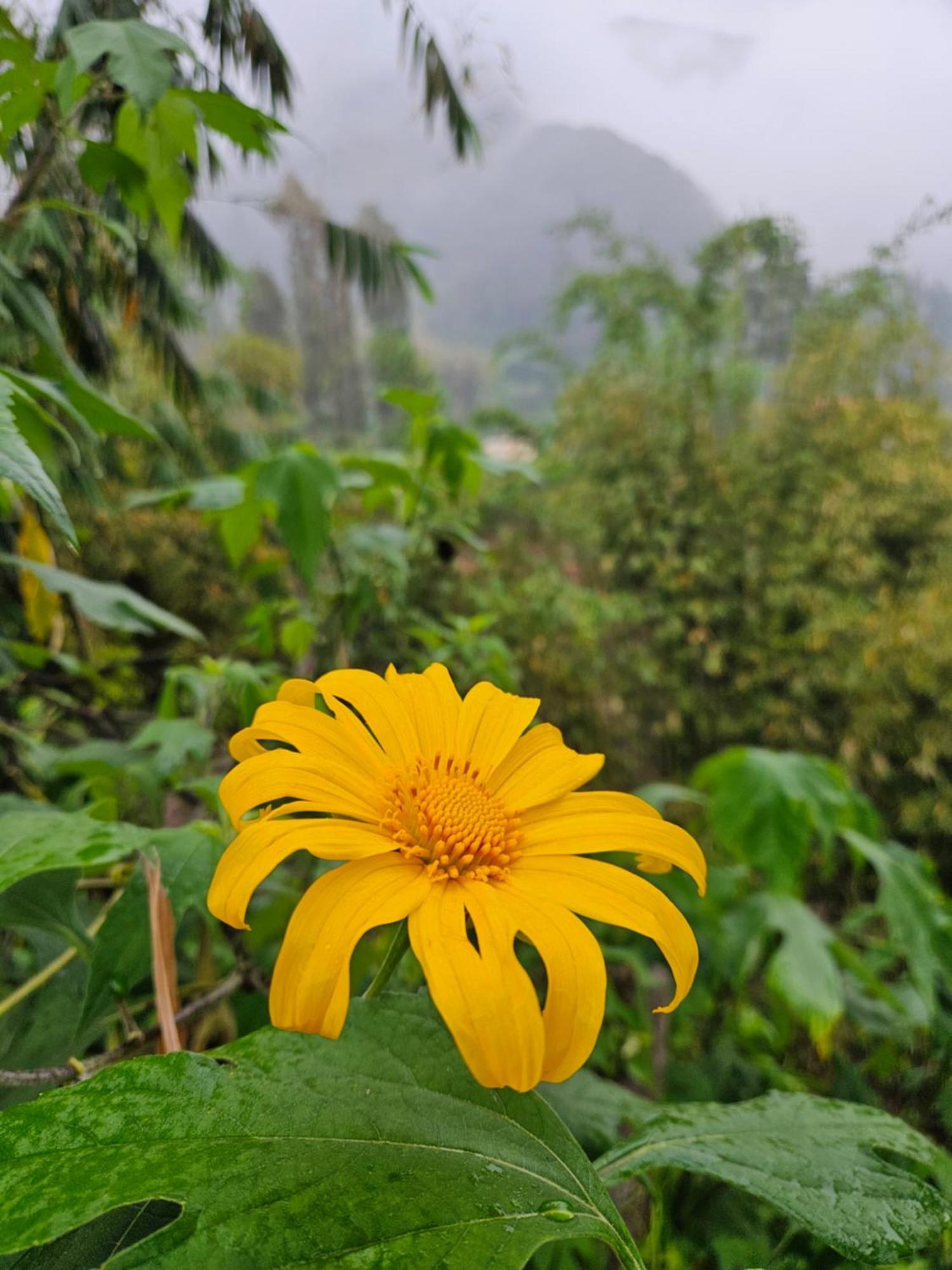 Arum Bromo Villas Ngadisari Esterno foto
